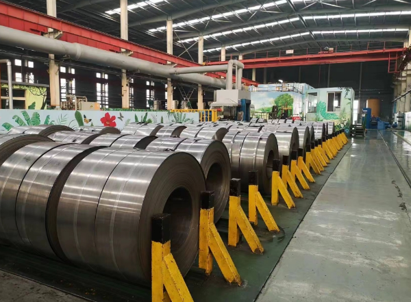 Spring Steel (50Mn / 65Mn)